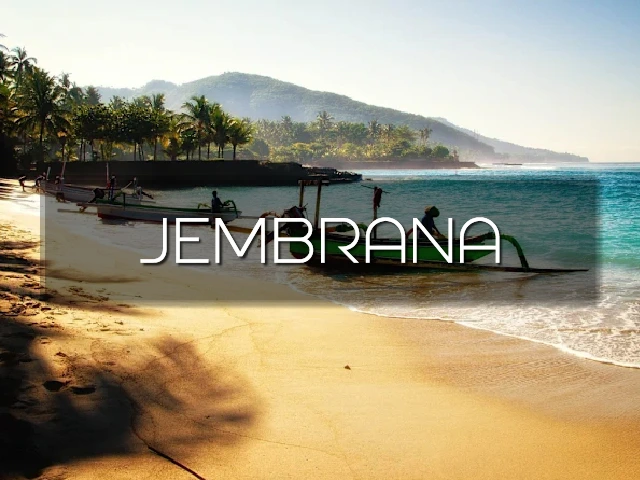 Bali Bumi Real Estate Agency - Land Of Opportunities - Medewi Agency Picture